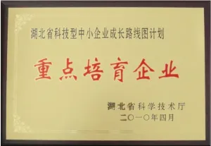 荣誉证书