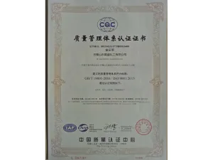 ISO9001(中文)