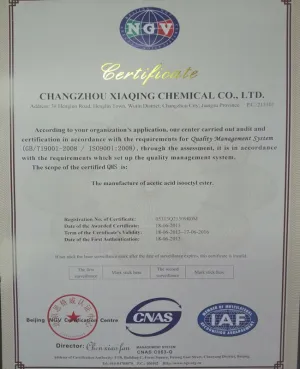 ISO9001(英文)