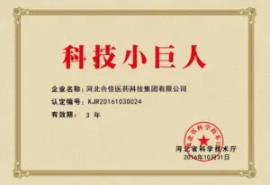 荣誉证书