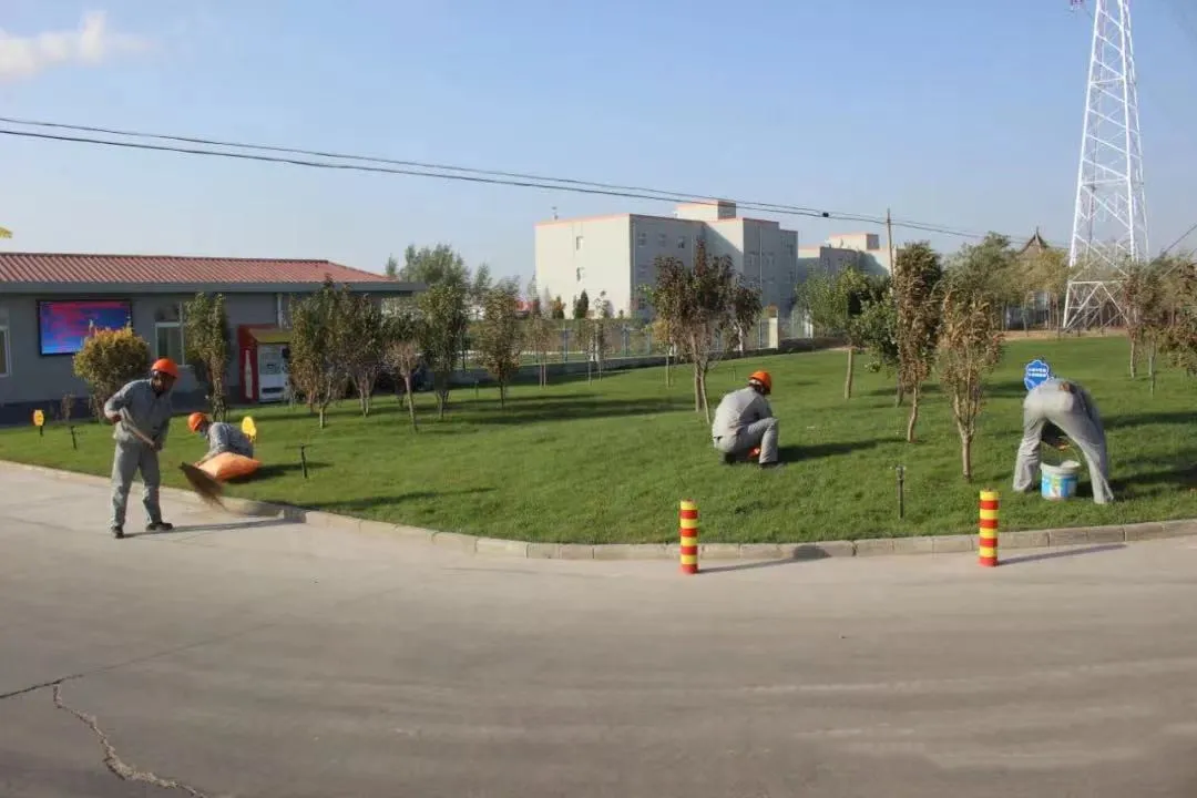 公司活动