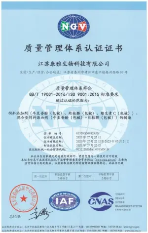 ISO9001(中文)
