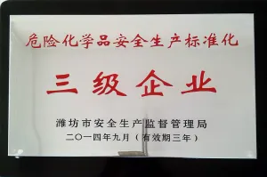 荣誉证书