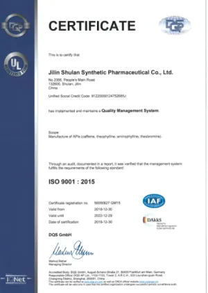 ISO9001(英文)