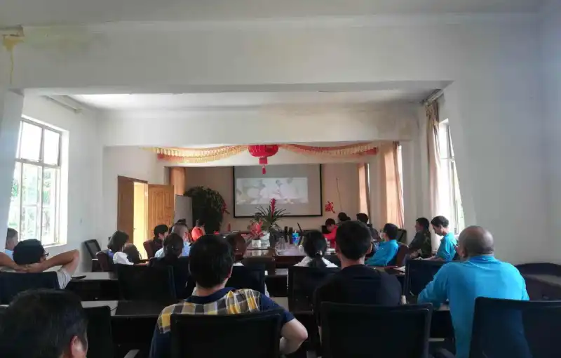 公司活动