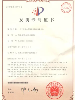 专利证书