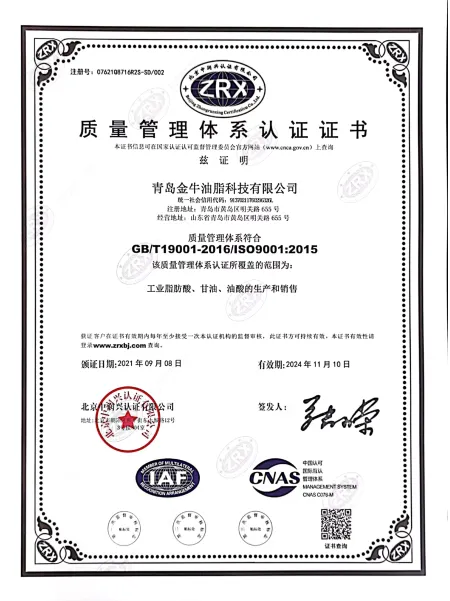 ISO9001(中文)