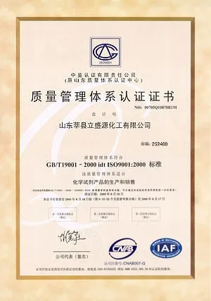 ISO9001(中文)