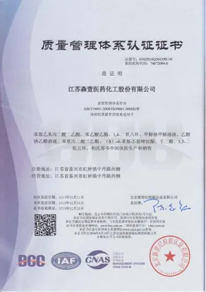 ISO9001(中文)