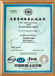 ISO9001(中文)