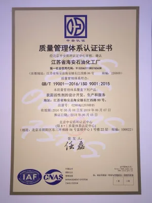 ISO9001(中文)