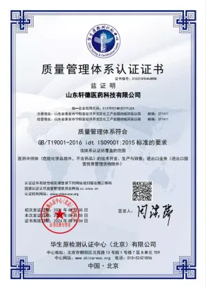 ISO9001(中文)