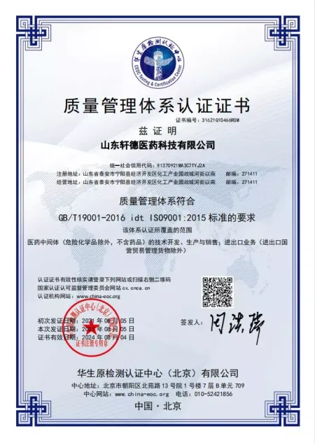 ISO9001(中文)