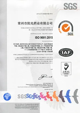 ISO9001(中文)