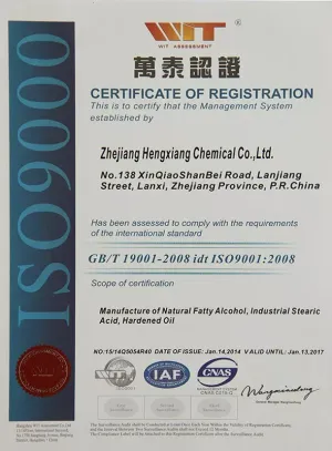 ISO9001(英文)