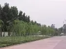 办公区域