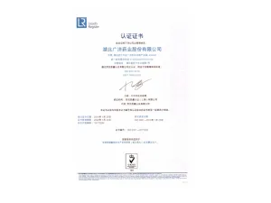 ISO9001(中文)