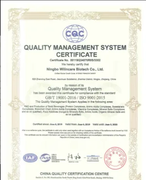 ISO9001(中文)