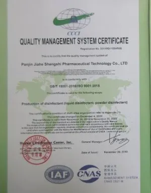 ISO9001(英文)