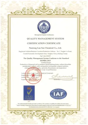 ISO9001(英文)