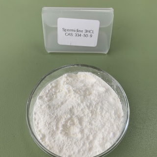 亚精胺三盐酸盐 CAS 334-50-9