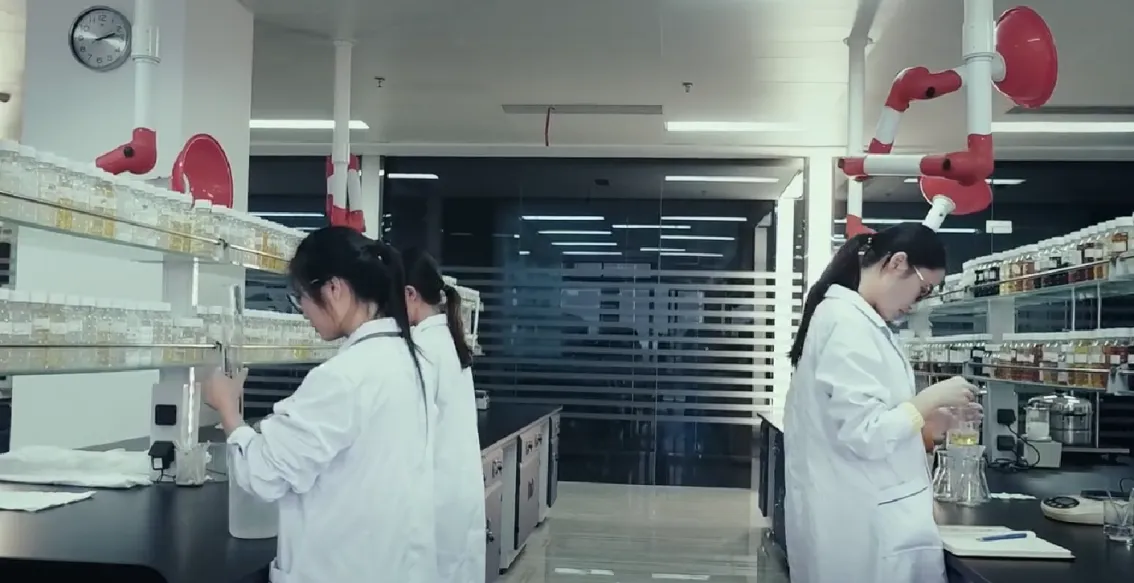 办公区域