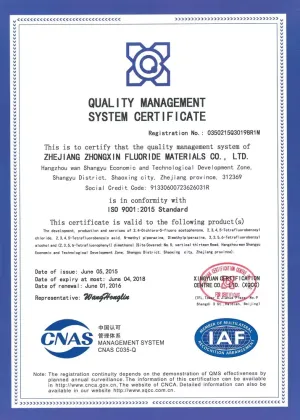 ISO9001(英文)
