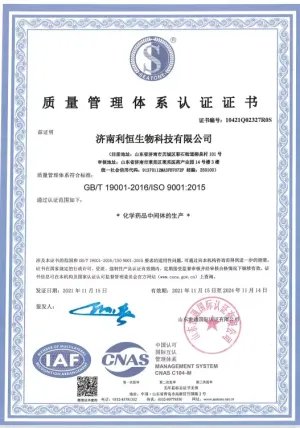 ISO9001(中文)