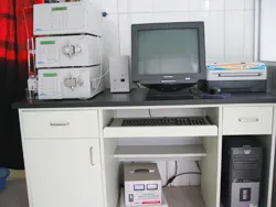 办公区域