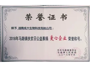 荣誉证书