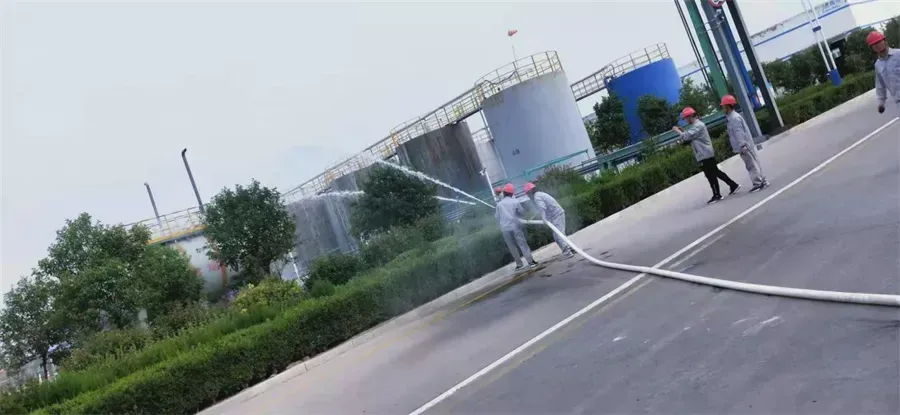 公司活动