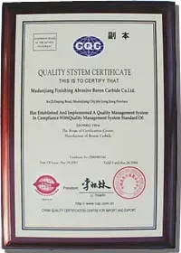 ISO9001(英文)