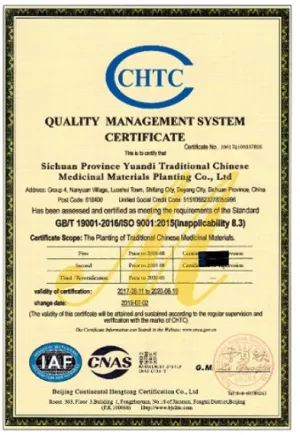 ISO9001(英文)