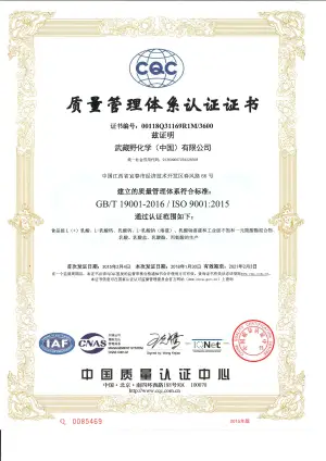 ISO9001(中文)