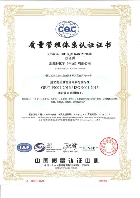 ISO9001(中文)