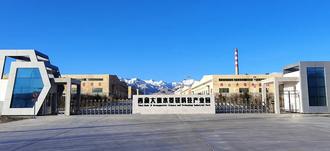 厂房大门