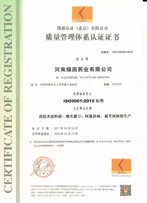 ISO9001(中文)