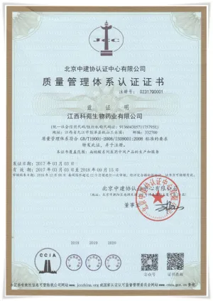 ISO9001(中文)