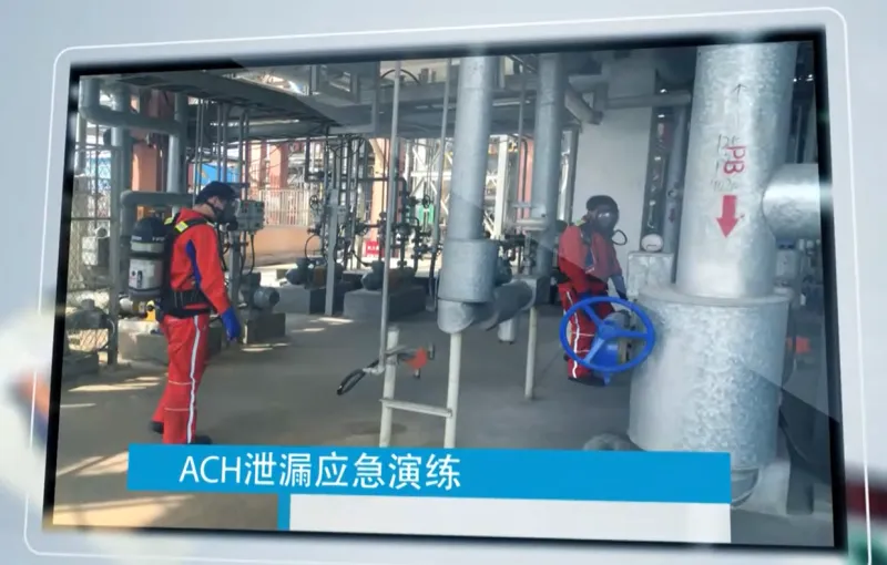 公司活动