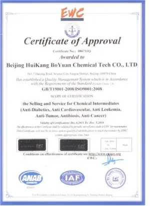 ISO9001(英文)