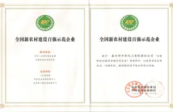 荣誉证书