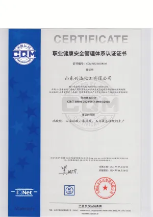 ISO45001