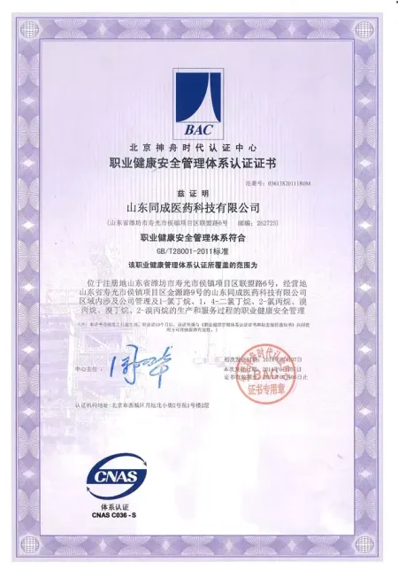 ISO9001(中文)