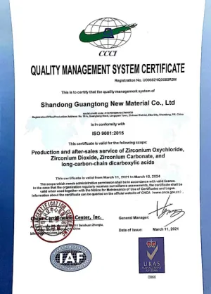 ISO9001(英文)