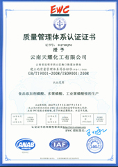 ISO9001(中文)