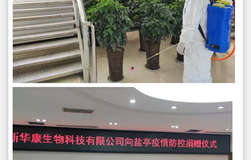 公司活动