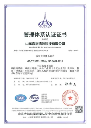 ISO9001(中文)