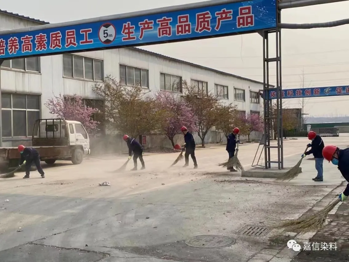 公司活动