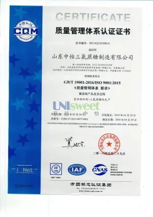 ISO9001(中文)
