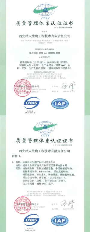 ISO9001(中文)